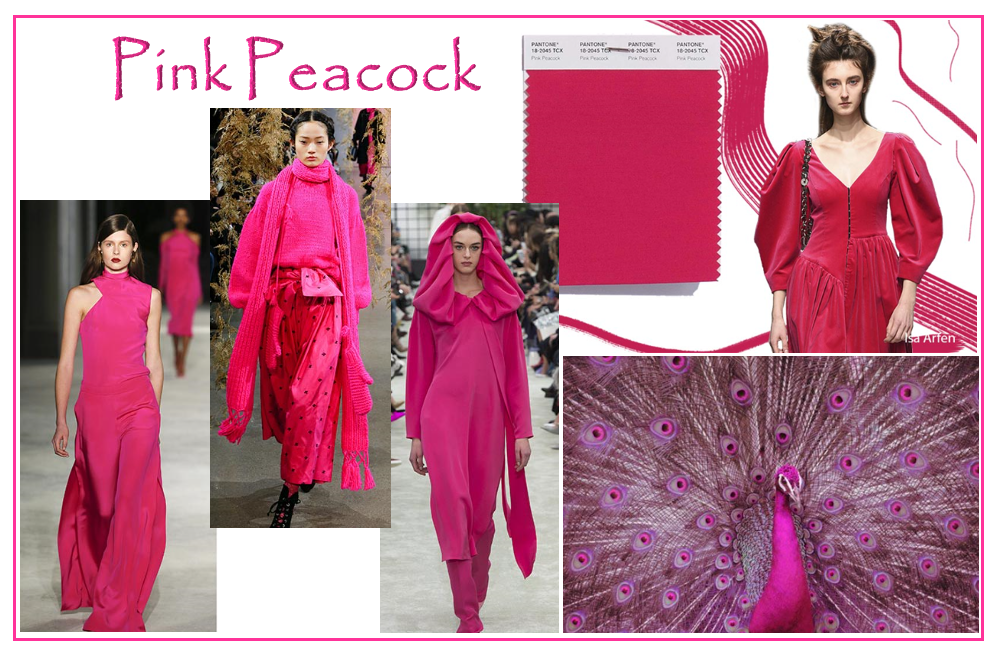 PINK PEACOCK